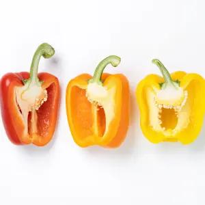 국내산 파프리카 3kg