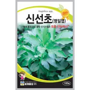 신선초 종자 100립