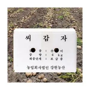 강원농산 강원도 고랭지 정품 채종 수미 씨감자 4kg 감자씨 주말농장 모종