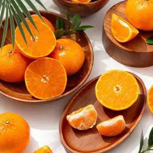 [더조은푸드][더조은] 제주 서귀포 노지 천혜향 (혼합과) 5kg