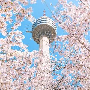 [대구] 이월드 연간회원권 3월