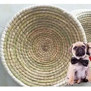 이동식 닭 닭알집 토끼 지푸라기 산란장 닭둥지 알통 네스트 부화