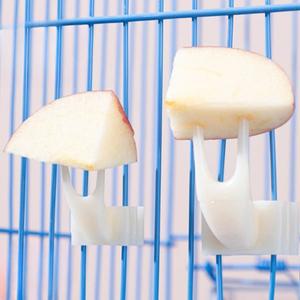 1피스 새 앵무새 과일 포크 애완 동물 용품 플라스틱 음식 랙 케이지 먹이 스낵 새장 액세서리