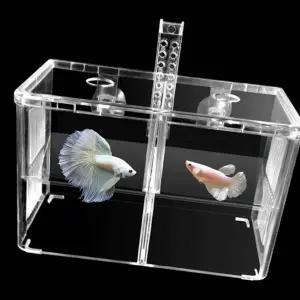 열대어치어통 합사전 산란통 암컷 수컷 합사케이스 투명