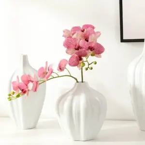 호접란 장식 고급스러운 사계절 인테리어 조화 프리미엄