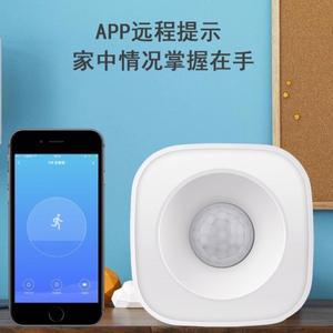 Doodle 지능형 WiFi 적외선 인간 움직임 센서