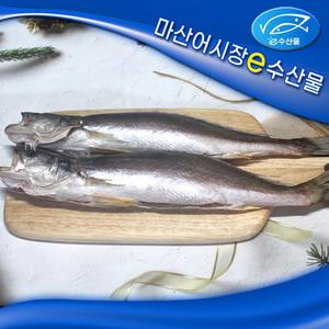 e수산물 쪼삣조기 중2마리 32cm 뾰족 민어조기 반건조 생선 뾰족민어조기  2마리  제수용 제사용생선