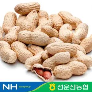 [선운산농협] 25년 햇 국내산 고창 생 알땅콩 1kg