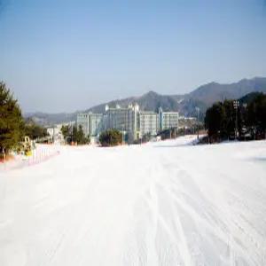 [강원 호텔] 웰리힐리파크 (홍천,횡성)