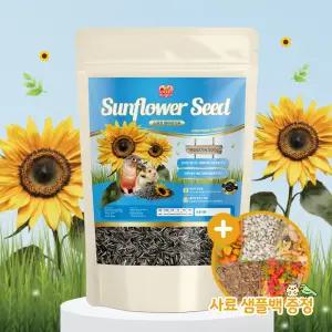 스위트버디 해바라기씨 500g 앵무새 햄스터 간식 사료