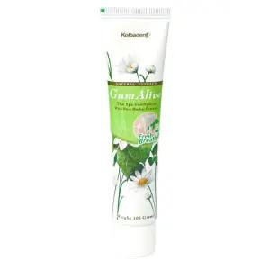 [검얼라이브] 프레쉬브레스 천연 입냄새치약 100g 1개