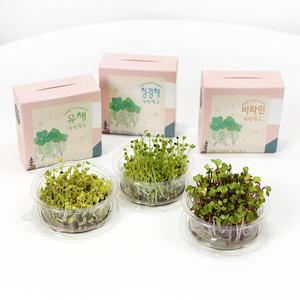 미니새싹키우기 씨앗키트 텃밭세트 새싹채소 재배