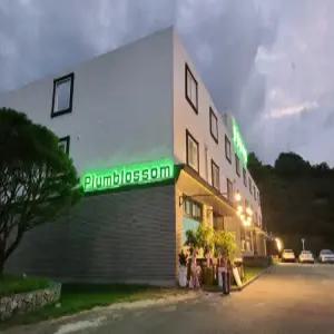 [전남 펜션] 광양 플럼블라썸풀빌라&펜션 (광양)