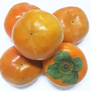 단감 아삭달콤 가정용 햇 단감 5kg 랜덤 (송본.상서)