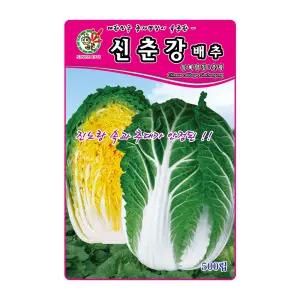 배추씨앗 신춘강배추 500립 저온 고온 결구력 우수