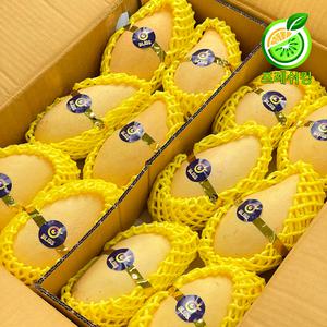 [프레쉬킹] 태국 프리미엄 골드 망고 남독마이 4kg 5kg