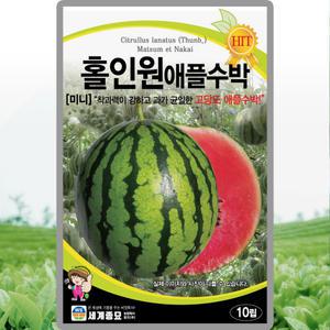 홀인원 애플수박 씨앗 10립 소과종 미니 수박씨 수박씨앗 고당도 연속착과 연장재배 균일 붉은색 세계종묘
