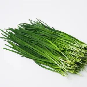 국내산 부추 (특) 8kg 업소용