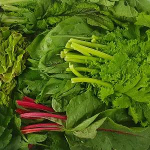 사그담 농부 모듬 쌈 채소 쌈채소 1kg 1개