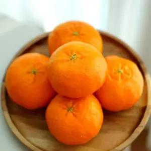 레드향 가정용 혼합과 5kg