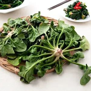 해풍맞은노지 시금치요리 하기좋은 남해초 시금치 나물 보물초