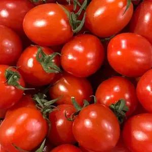 1번 2번 특품 대추 방울토마토 2kg