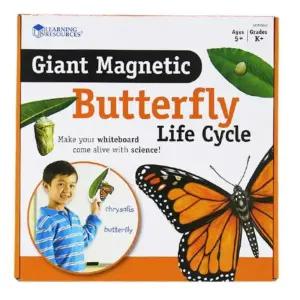 나비한살이 곤충학습 유아 자석교구 방과후 과학놀이 관찰력 만들기수업 돌봄교실