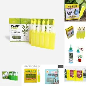 감동 식물영양제 모든식물용 화초 화분 앰플형 10개입/뿌리/건강/향상/영양/공급/성장/발육/촉진/비료/화단