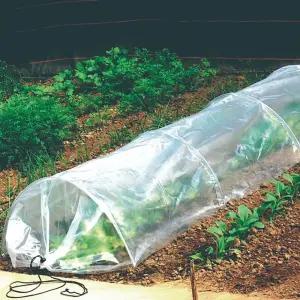 텃밭 비닐하우스 접이식 터널 소형 온실 3m DD-13093