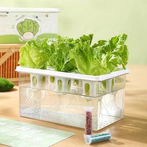 가정용식물재배기 수경재배 스마트팜 led수경재배기 3단 자라는 램프 상추