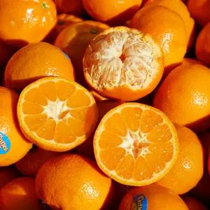 고당도 미국산 만다린 귤 감귤 2kg 5kg