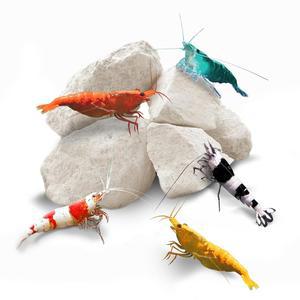 [미국배송] 가재 소라게 달팽이 갑각류 관리를 위한 선그로우 새우 바위 칼슘 마그네슘 크리스탈 레드 아마노 및 유령 새우를 수족관 장식 나노 탱크 액세서리 어항 용품