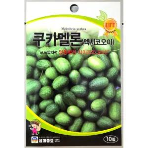 쿠카멜론 10립 세계 26년 오이씨앗 멕시코미니오이씨앗