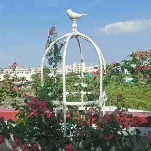 식물 장미 펜스 철제 넝쿨식물 지지대 아치 터널 정원 화단