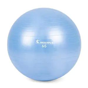 라벤더 블루 마사지볼 65cm 다이어트짐볼 짐볼