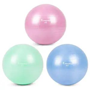 택1 짐볼 65cm 마사지볼 다이어트짐볼 마사지짐볼