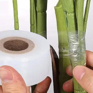 투명 접목필름 식물테이프 접목테이프 접목도구 5cmx200cm