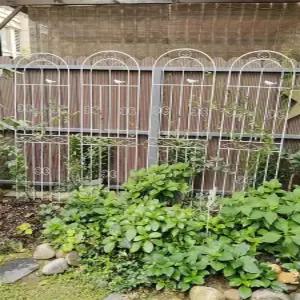 장미 아치 스탠드 포도 마당 안뜰 공원 스팬 철제