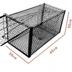 너구리 망 생포 동물 길냥이 구조
