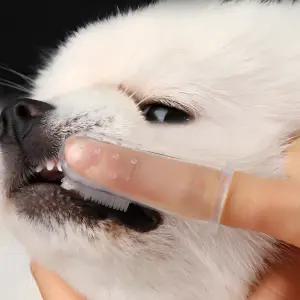 칫솔 추천제품 신상 손가락 실리콘