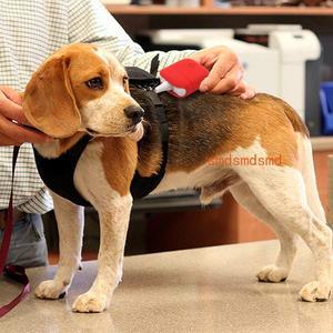 블루투스 VET 수의학 맥박 산소 측정기 스마트 웨어 SPO2 ECG 모니터 IOS APP