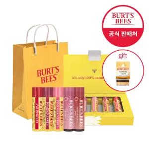 버츠비 러블리 립밤 5종 세트