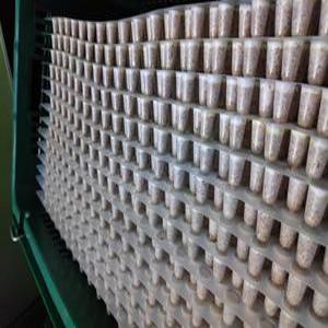 표고종균,표고버섯,성형종균,607구,종자업등록업체,직접생산판매