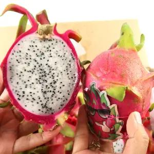 실속못난이 영양뷰티 열대과일 용과 5kg (8-12과)