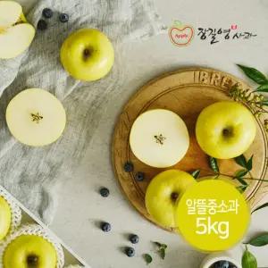[장길영사과] 시나노 골드 알뜰 중소과 5kg (17~23과내)