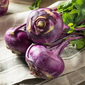 아삭달콤 제주직송 콜라비 5kg (소과)