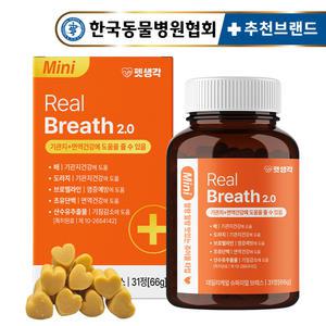 펫생각 강아지 기관지 협착증 영양제 66g 31정 기침 면역력 호흡기 켁켁거림 거위소리 혈행 개선 항산화 휴먼그레이드