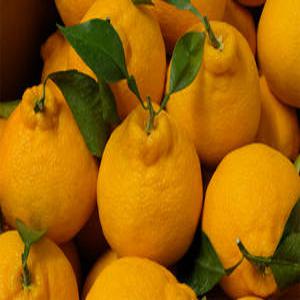 고당도 제주 한라봉 10kg내외 (30~55과)