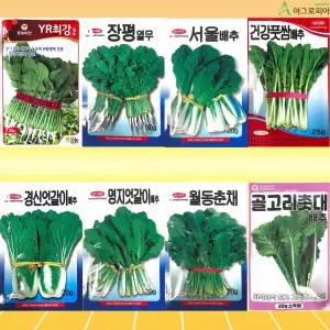 씨앗모음 열무씨모음 열무 서울배추 엇갈이배추 풋쌈 골고리촛대  씨앗 씨 종자