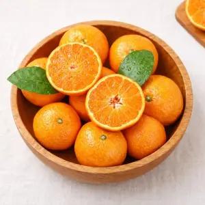 제주 못난이 노지 감귤 10kg 사이즈랜덤 제주연가